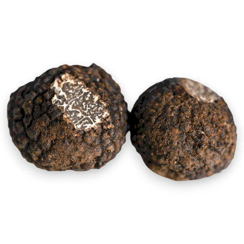 Fresh Black Truffle - Tuber Indicum (B-grade) Terra Ross