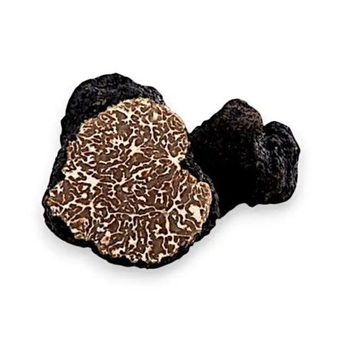 Slice of fresh Bagnoli truffle Tuber Mesentericum with white veining