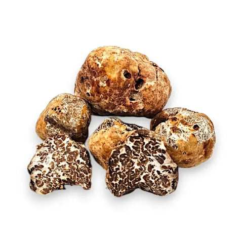 Artisanal Fresh Spring Tuber Borchii Truffle assortment with white and brown speckles