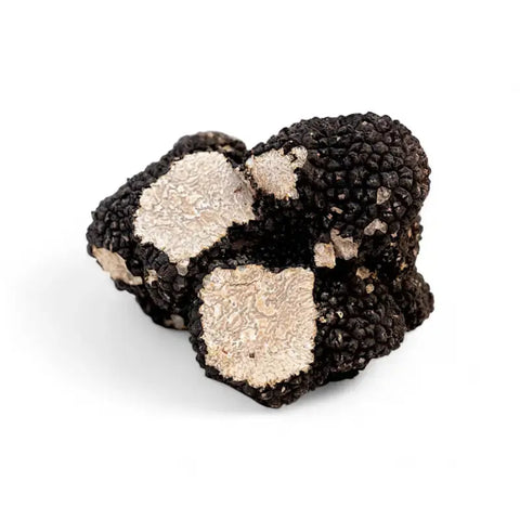 Fresh black summer truffle with white marbling from Tuber Aestivum B-grade