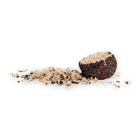 showing picture of fresh summer truffle grated